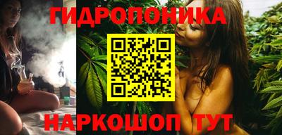 мдпв Боровичи