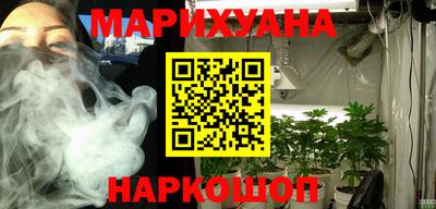 мдпв Боровичи