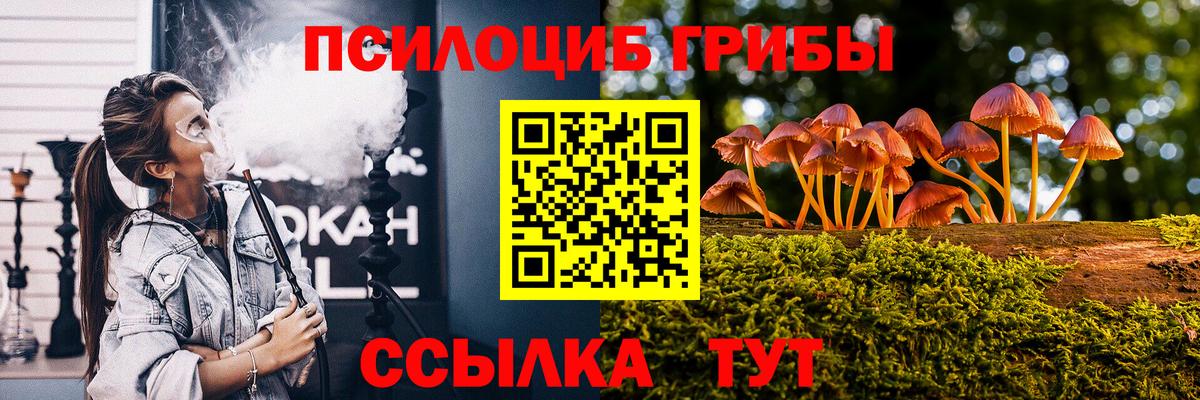 Чехов  Псилоцибиновые грибы прущие грибы  как найти закладки  Вход с VPN 
