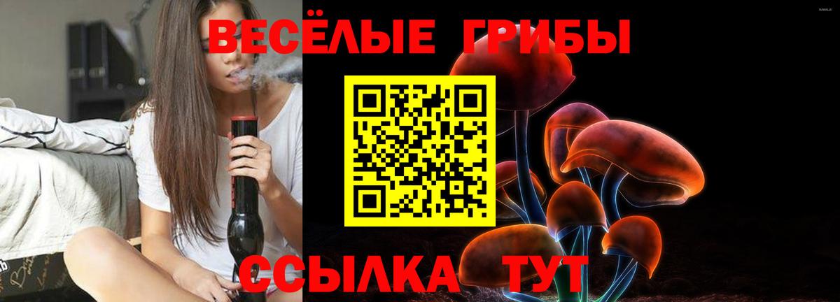 Галлюциногенные грибы Cubensis Чехов