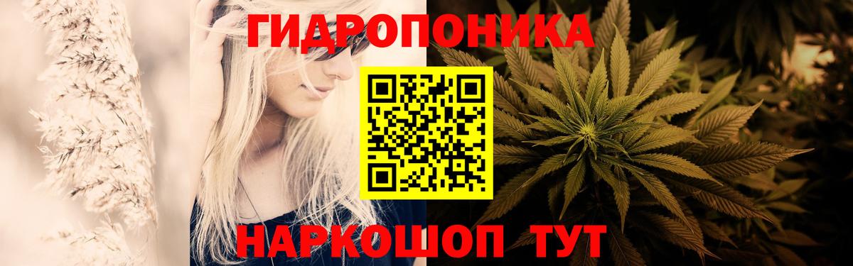 Шишки марихуана тримм  Конопля THC 21%  Чехов  Вход с VPN  Бошки марихуана конопля 